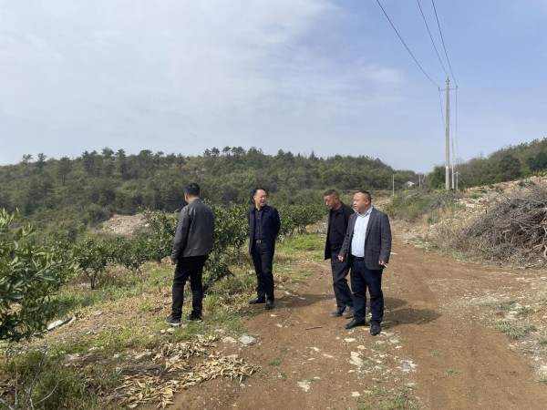 澧州實業公司助力回龍峪村構筑產業夢