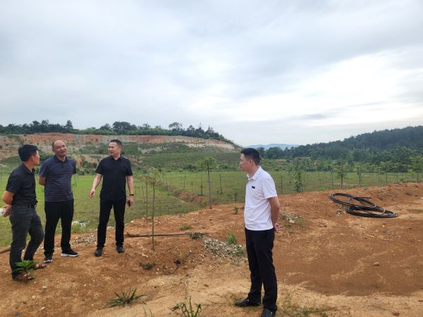 澧縣土地資源,澧縣公共基礎設施,澧縣工商業信息咨詢,澧縣澧州實業發展有限公司